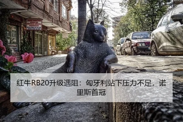 红牛RB20升级遇阻：匈牙利站下压力不足，诺里斯首冠